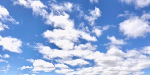 District Mission Walk & Picnic