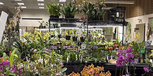 Long Island Orchid Festival - May 29-31, 2026