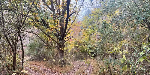 Charleston - 195 Acres with Timber & Minerals in Kanawha County