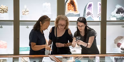 Harvard Museums of Science & Culture December Member Party