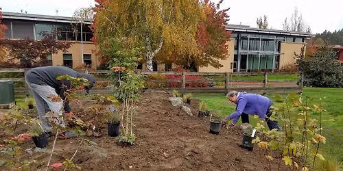 Putting the Garden to Bed