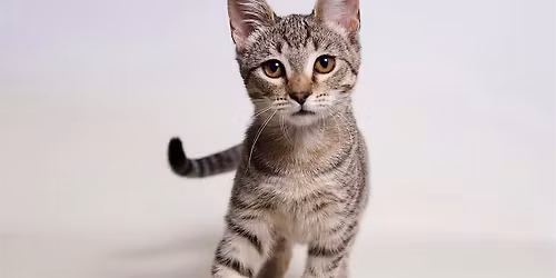 Do Good with Chipotle \u2013 Make Your Meal Matter