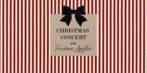 Christmas and Lucia with Friedmans Apostlar