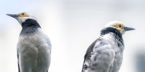 Jak by\u0107 sob\u0105, b\u0119d\u0105c z Tob\u0105 - warsztat NVC i praktyka Uwa\u017cnego Dialogu w trudnych rozmowach