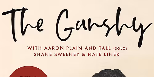 The Gunshy, Aaron Plain & Tall (solo), Shane Sweeney, Nate Linek at Cafe Bourbon St (4\/7)