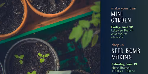 Make Your Own Mini Garden @ Lakeview Branch