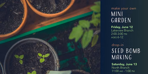 Make Your Own Mini Garden @ Lakeview Branch