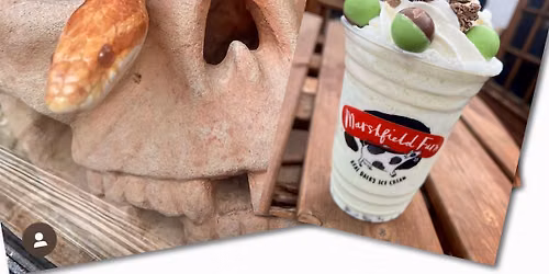 Snakes & Shakes