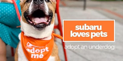 Subaru Loves Pets