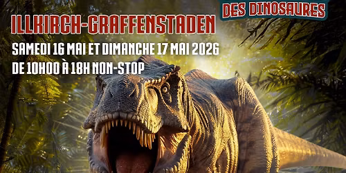 Retour vers le pass\u00e9 - Illkirch-Graffenstaden \ud83e\udd96