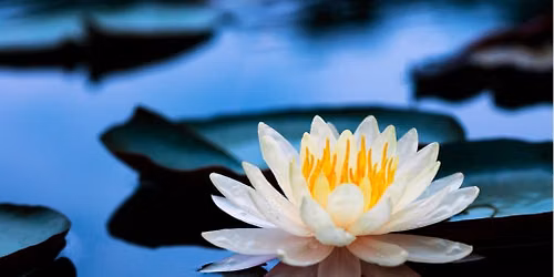 Guided Meditation Wednesday Morning