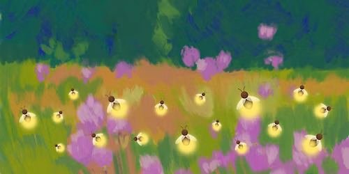 Proctor Creek Firefly Survey and Social