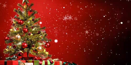 V\u00e1no\u010dn\u00ed setk\u00e1n\u00ed