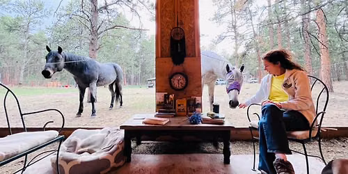 Herd and Hearth Horse Encounter