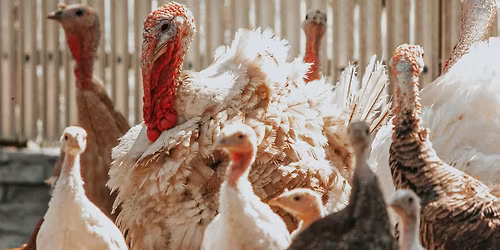 Pas de cadeaux ( Cabaret de No\u00ebl) \ud83d\udd38 Avec la Classe d'Apr\u00e8s \ud83d\udd38 Th\u00e9\u00e2tre