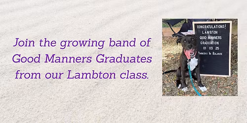 Newcastle Dog Training 