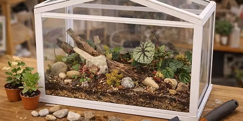 The Enchanted Greenhouse - An 8-Gallon Terrarium Workshop 