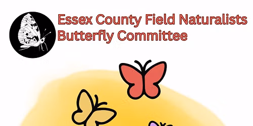 Butterfly Committee - The Year ahead