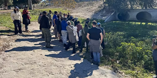 Urban Foraging Plant ID Hike - Saturday 3\/14