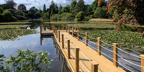 Lakes and Lilies Festival
