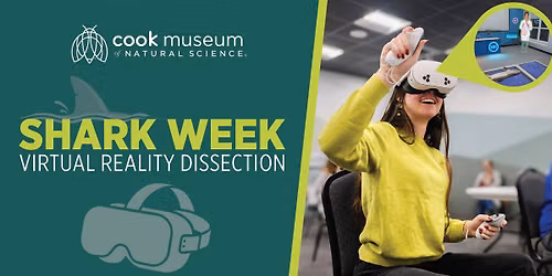 Shark Week VR Dissection