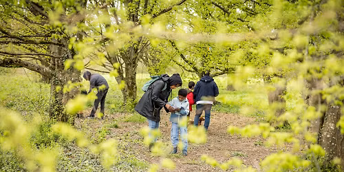 PAKATRAP - Chasse aux oeufs aux Evaux "Pak'alapin et le peuple des Myst\u00e8res"