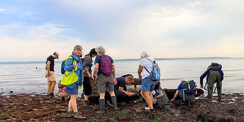 Winter Shore Discovery Sessions - Port Solent