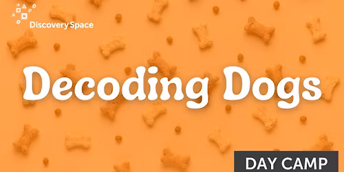 Decoding Dogs Camp