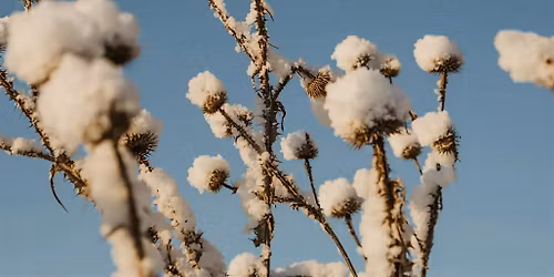 Winter Solstice Meditation Day Retreat