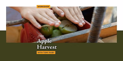Apple Harvest Workshop