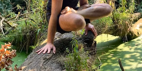 Vinyasa Immersion