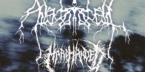 Ahzidal, Hard Handed, Hollow Eyes, Born of Decay at Red Flag