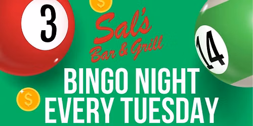 Bingo Night - Every Tuesday!