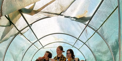 Hudebn\u00ed \u010dtvrtek \u2013 Greenhouse Effect