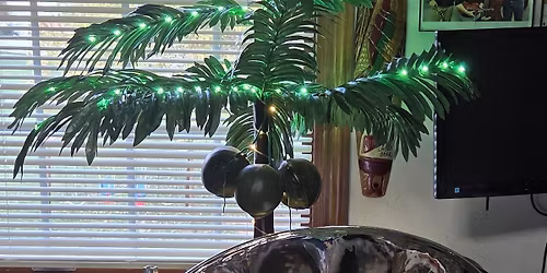Beach and Holiday Music played on the steel pan