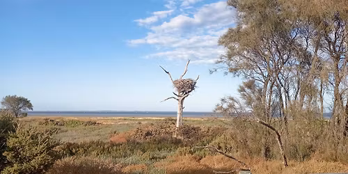 Coodanup foreshore Reserve Walk