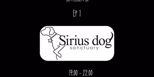 Solidarity Market Series Ep1