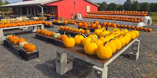Annual autumn harvest festival