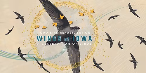 Wings of Iowa, A Celebration of Birds, 3rd annual gala!