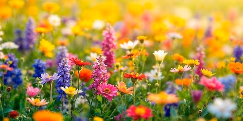 SAVE THE DATE! Paint n\u2019 Sip @ Sea Spray Confections