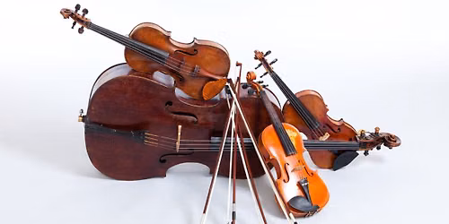Strings Showcase Concert