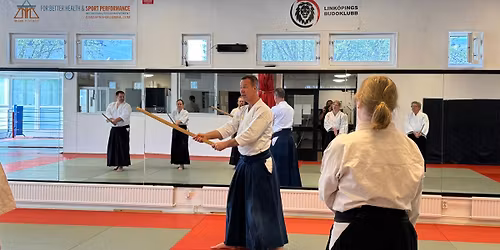 Aikidol\u00e4ger med Bj\u00f6rn S\u00e4w