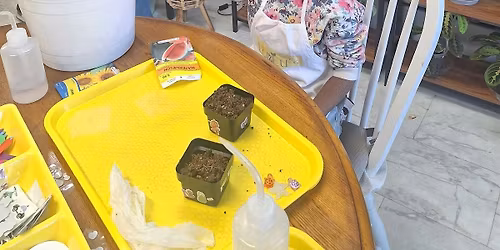 Kids Plant Experience
