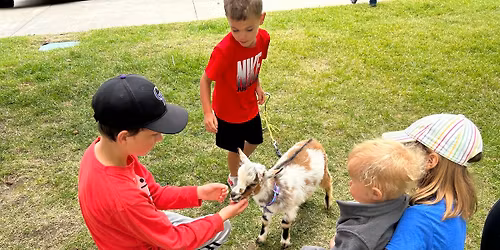 Kids & Teens: Drop in Petting Zoo