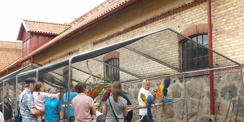 F\u00c5GELSL\u00c4PP I TORUP