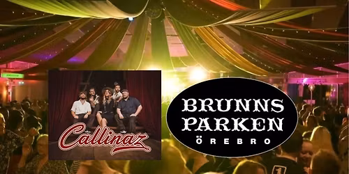 Callinaz i Brunnsparken 22\/11