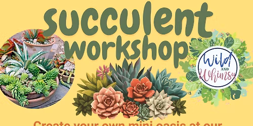 Succulent garden