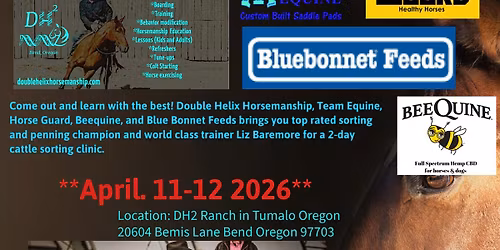 Liz Baremore Sorting Clinic