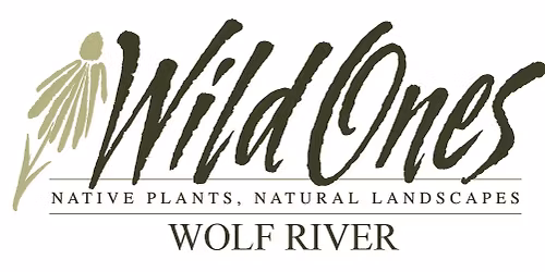 WRWO Special Meeting