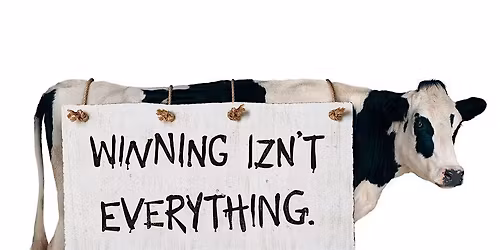 Cinco de Mayo Senior Bingo